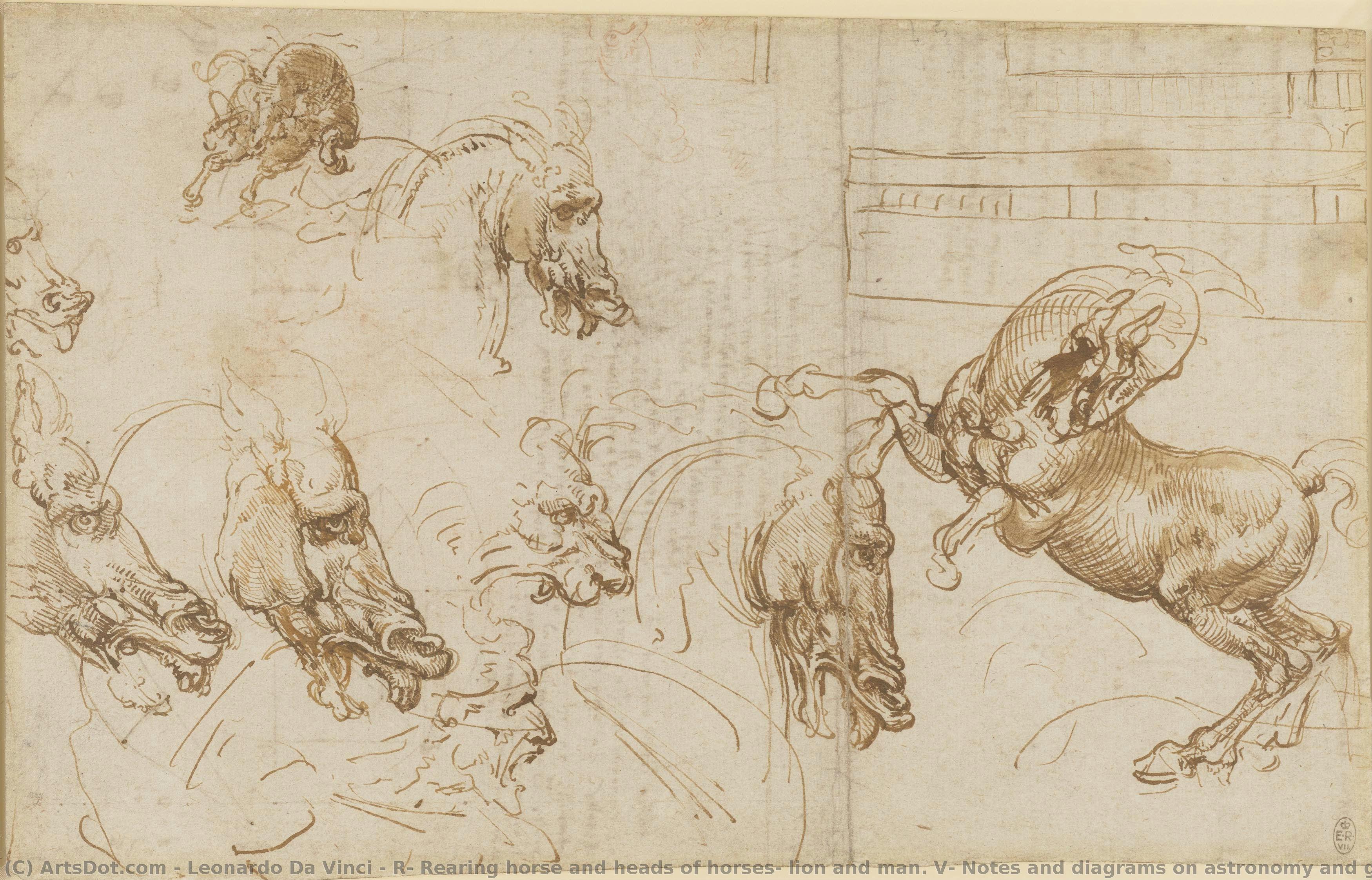 R: Rearing Horse And Heads Of Horses, Lion And Man. V: Notes And Diagrams On Astronomy And Geometry And Horse — Leonardo Da Vinci
