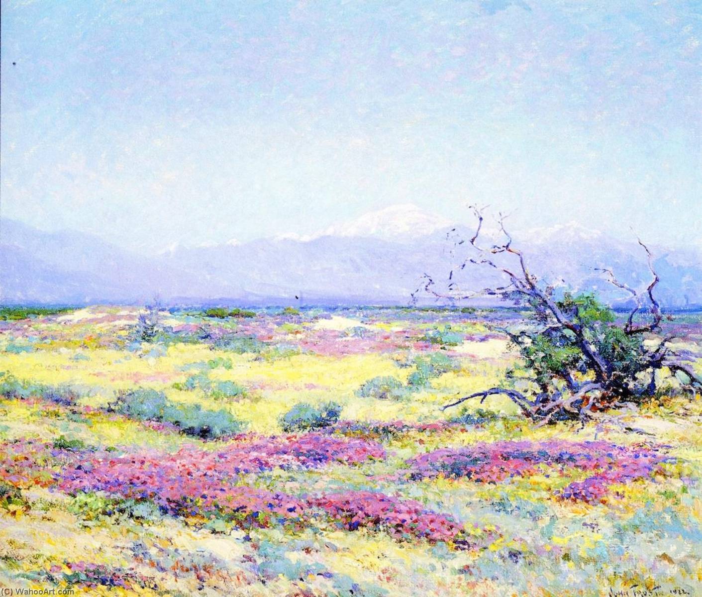 The Flowering Desert — John Frost