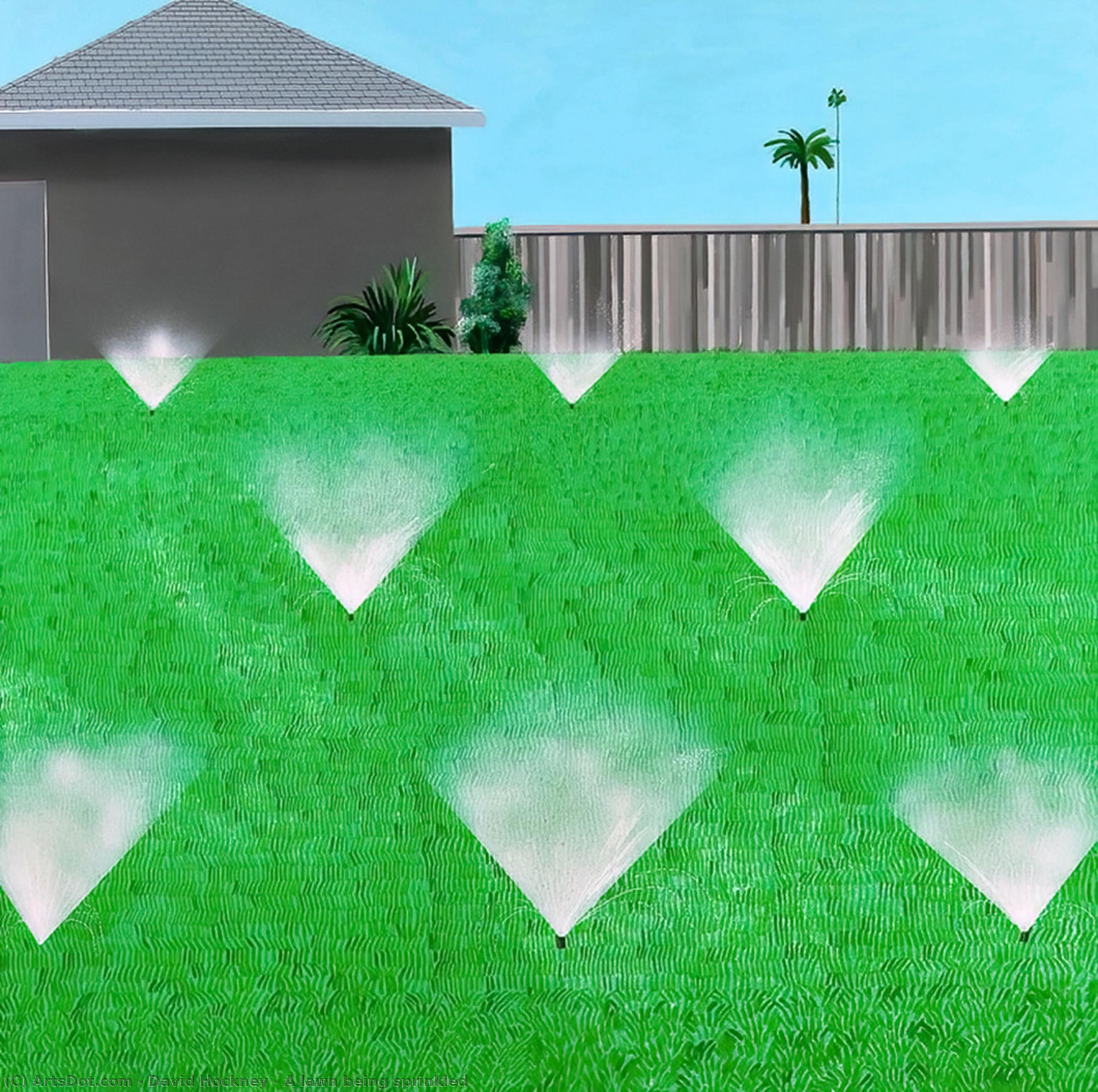 A Lawn Being Sprinkled — Дэвид Хокней