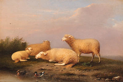 Sheep And Ducks On A Riverbank — Franz Van Severdonck