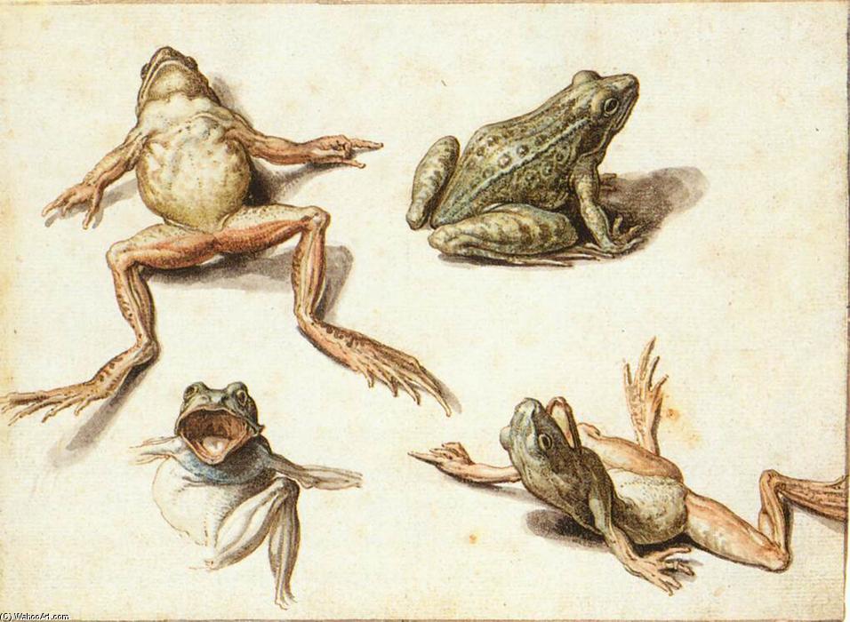 Four Studies Of Frogs — Jacob (jacques)de Gheyn Ii