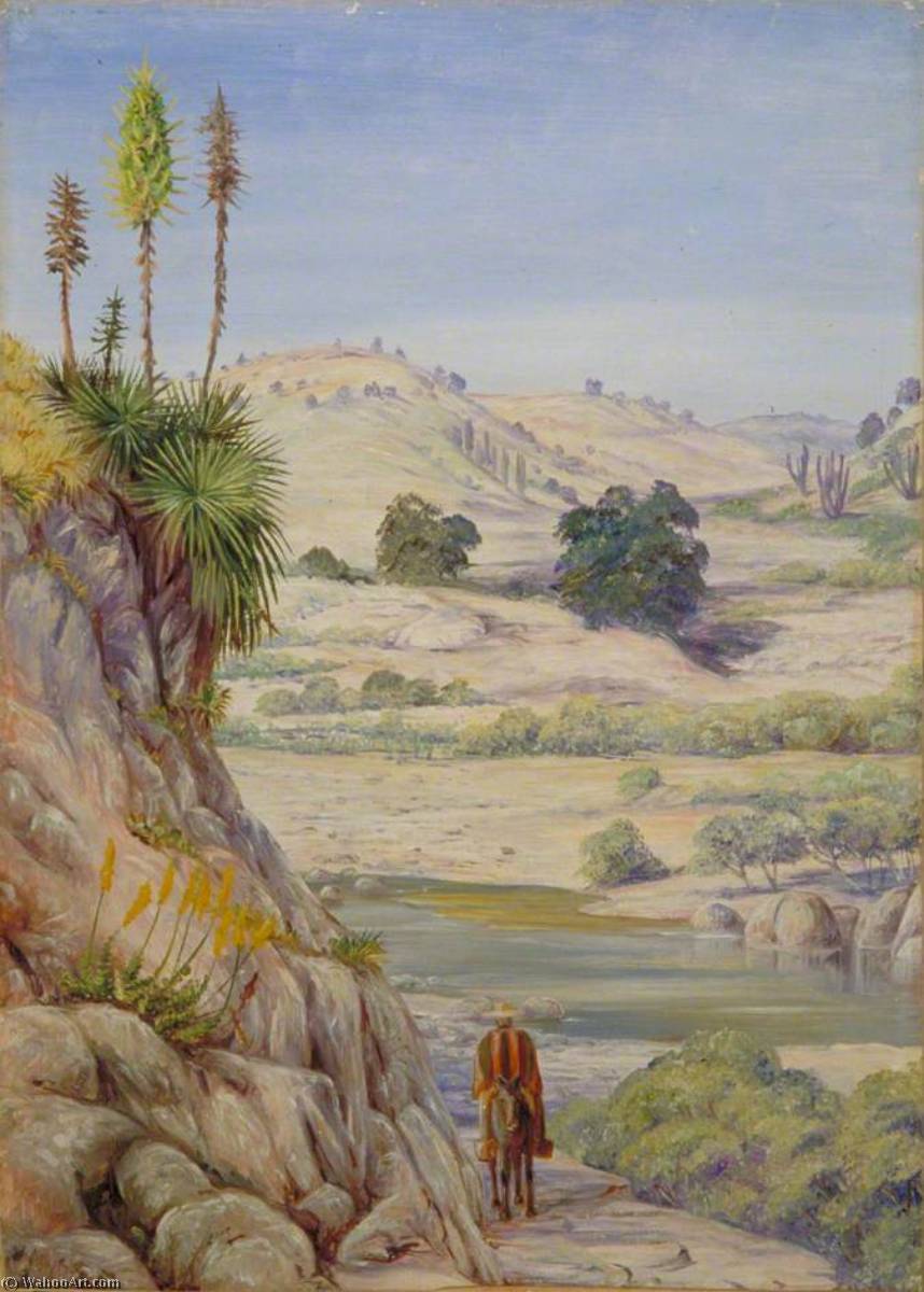 View Near Quilpue, Chili — Marianne North