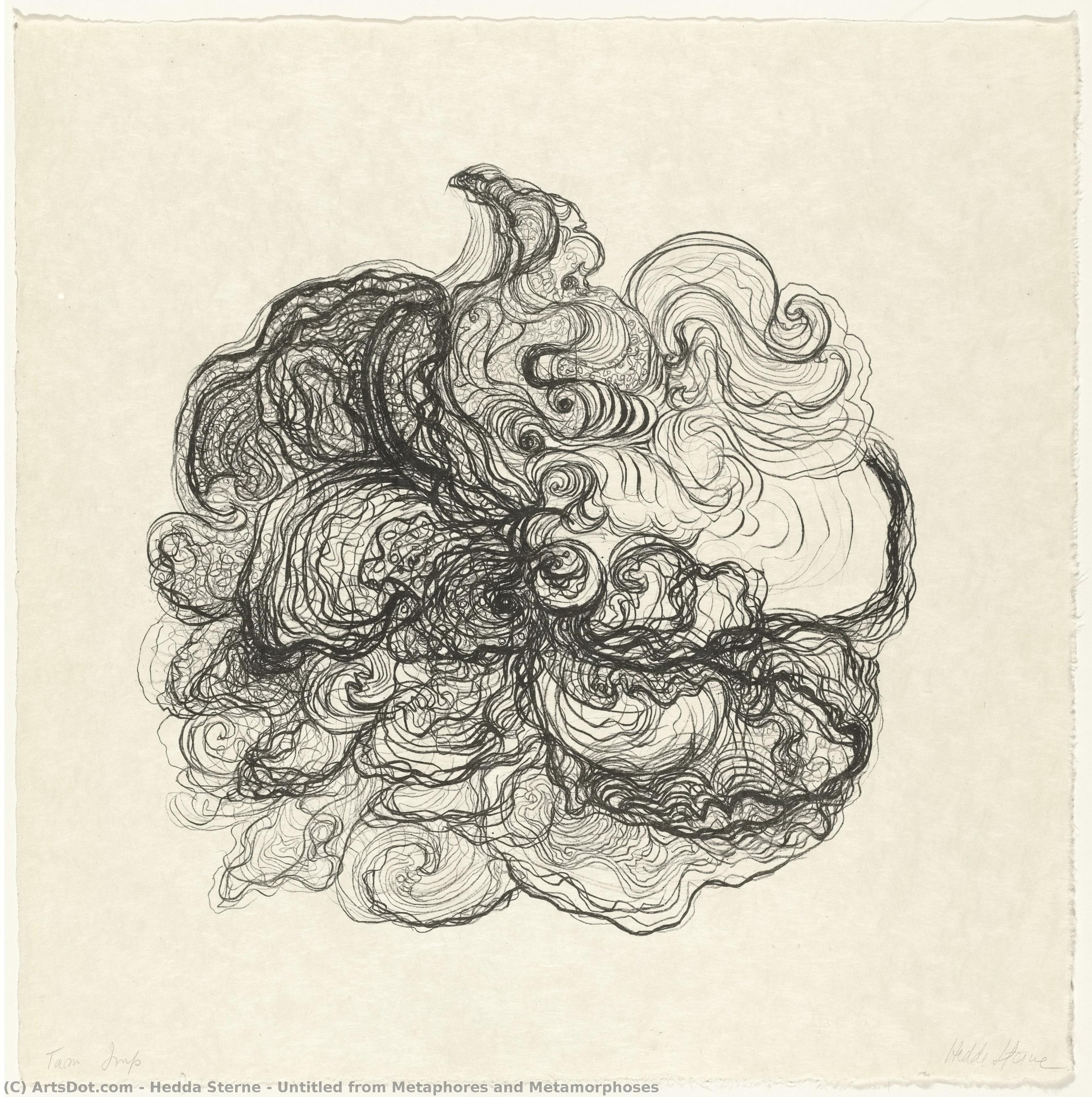 Untitled From Metaphores And Metamorphoses — Хедда Стерн