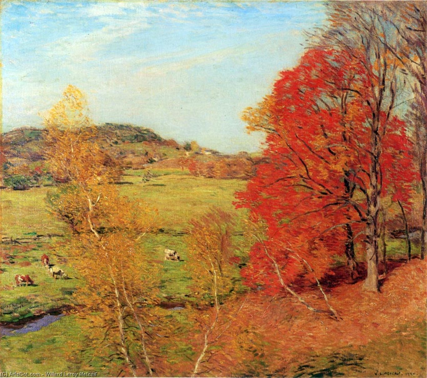 Red Maple — Вилард Лерој Меткалф