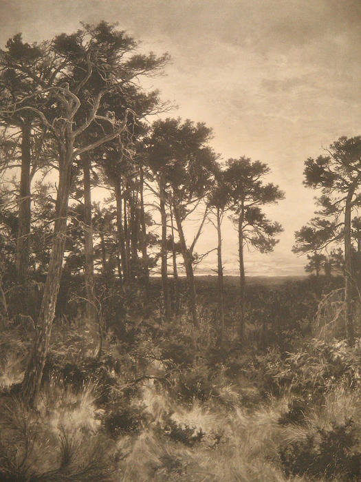 Solitude — R.a Benjamin Williams Leader