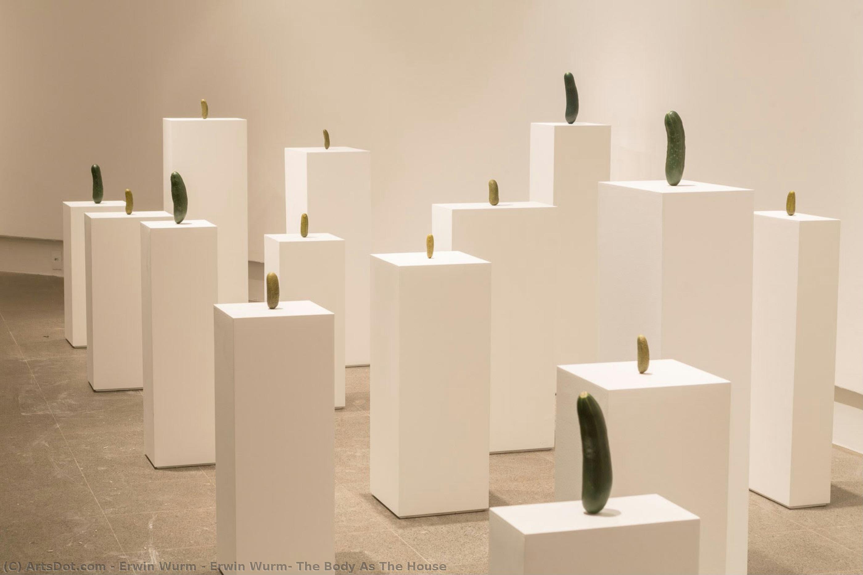 Erwin Wurm: The Body As The House — Erwin Wurm
