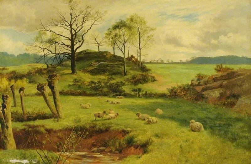 Sheep In Pasture — Walker Stuart Lloyd
