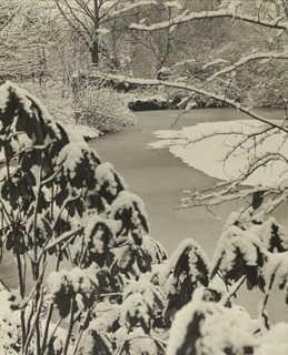 Garden Of Mrs. F. F. Prentis, Cleveland — Margaret Bourke-white