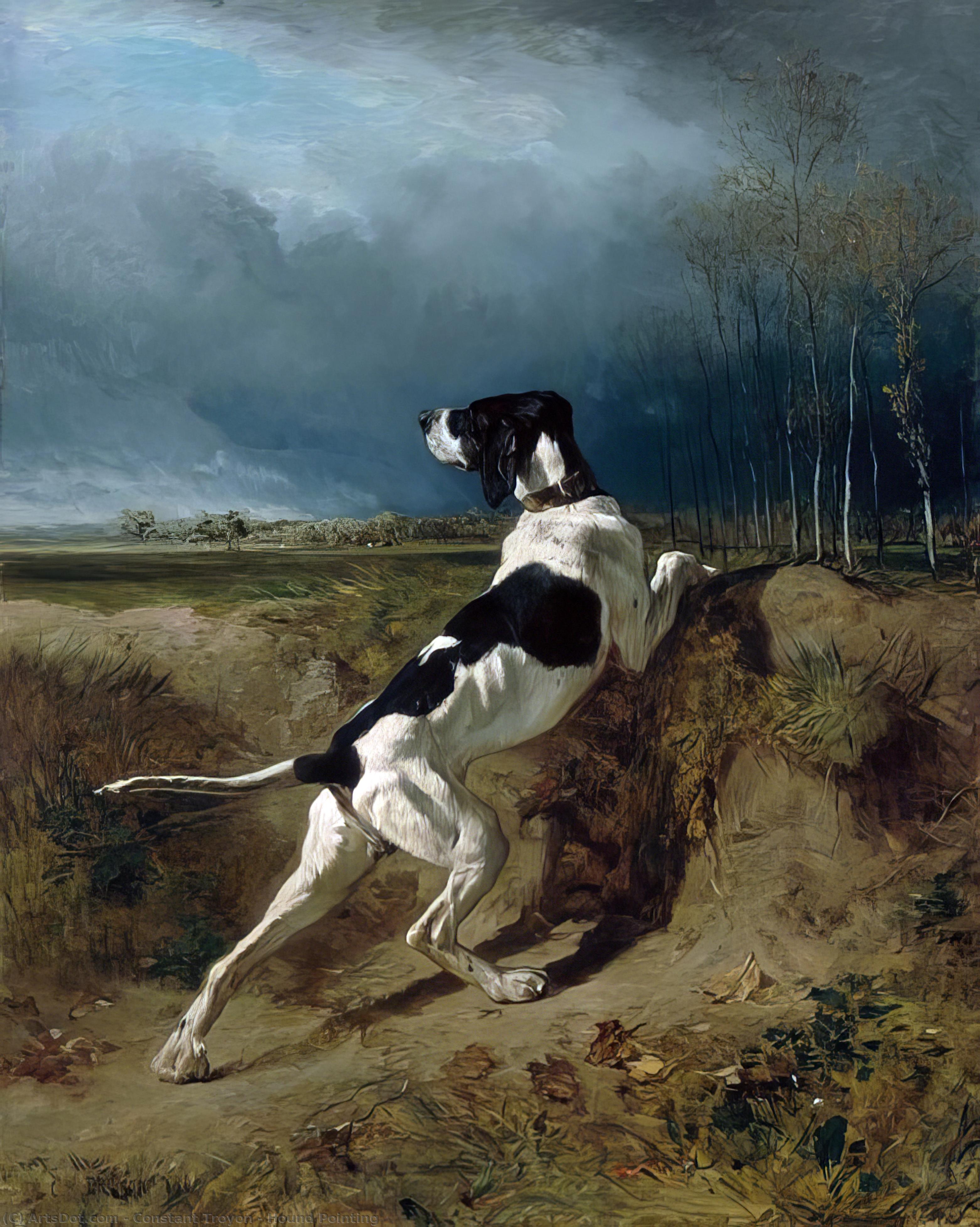 Hound Pointing — Констан Троајон