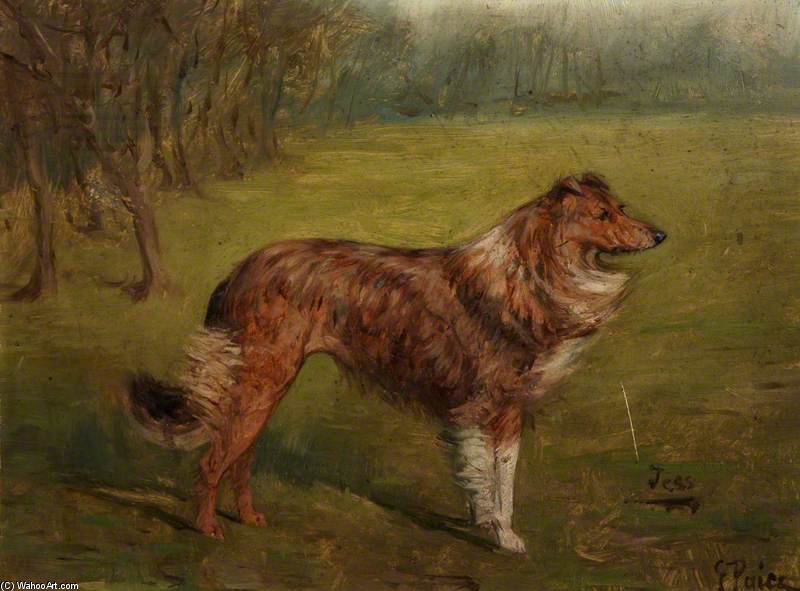 'tess', A Collie In A Landscape — George Paice