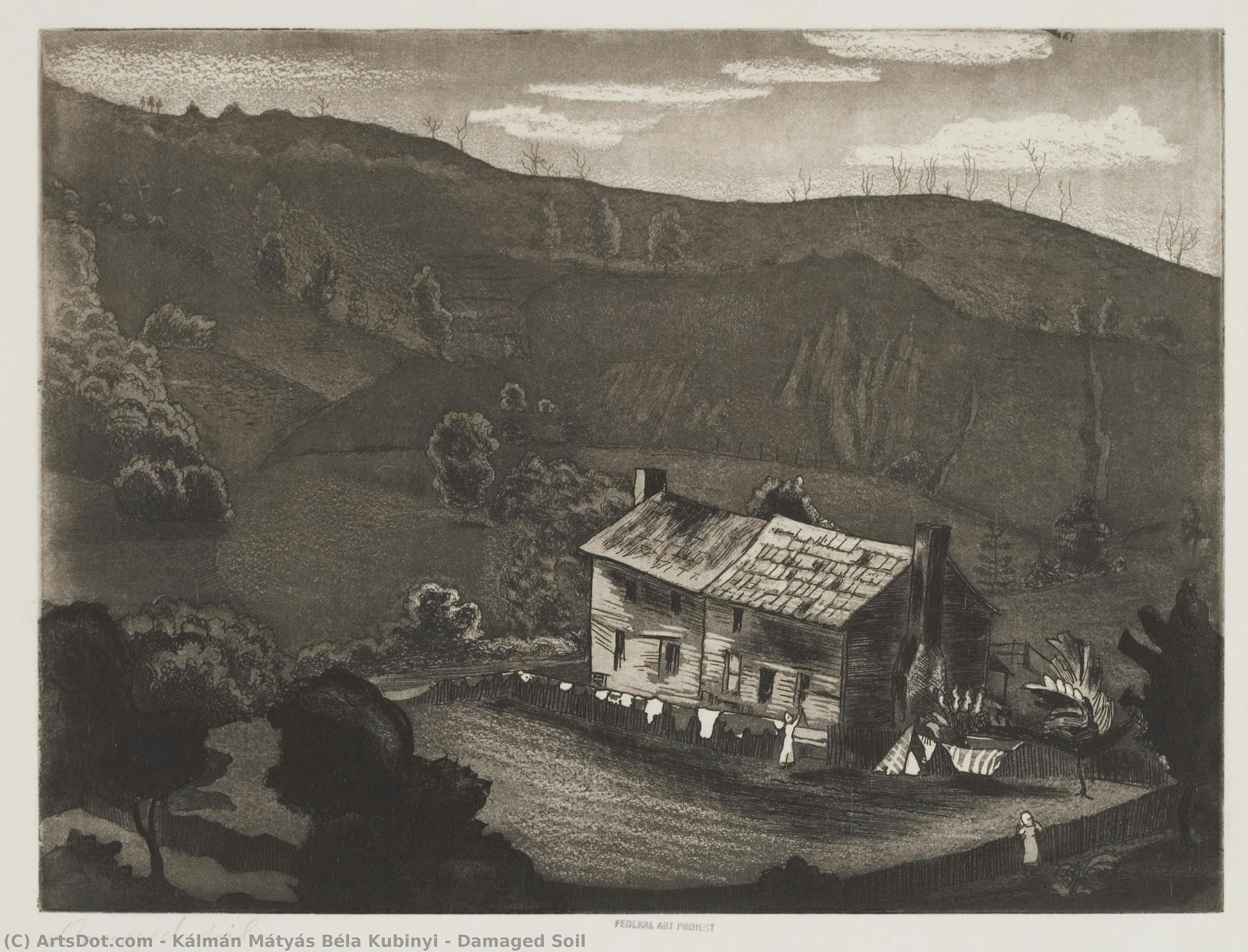 Damaged Soil — Kálmán Mátyás Béla Kubinyi