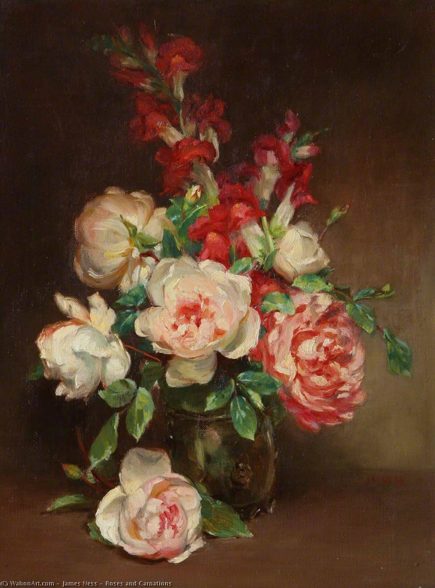 Roses And Carnations — James Ness