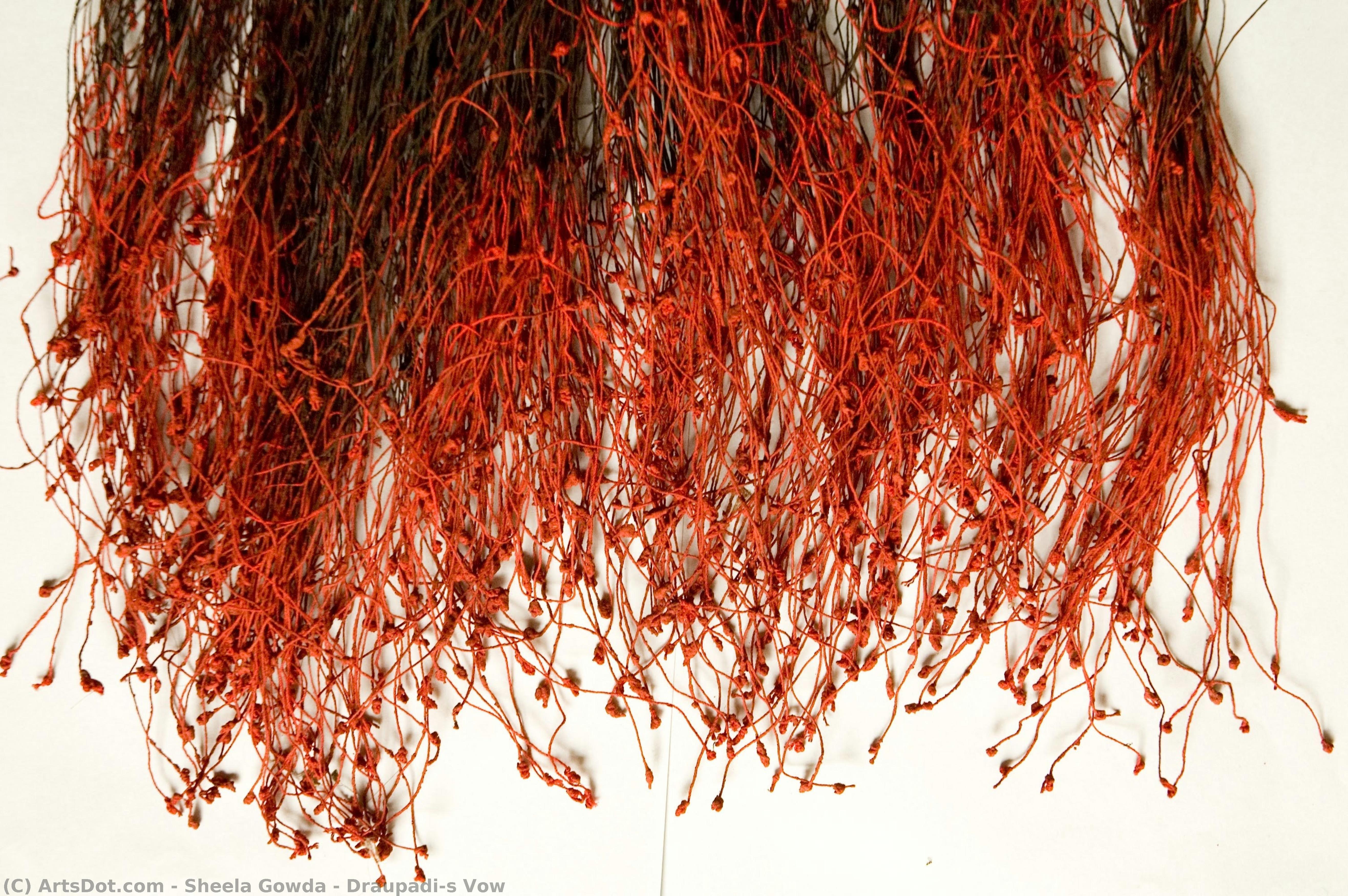 Draupadi’s Vow — Sheela Gowda