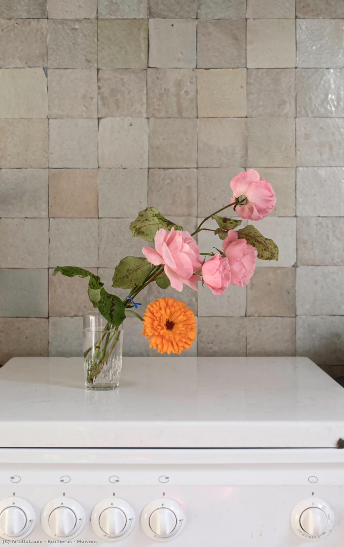 Blumen — Elina Brotherus