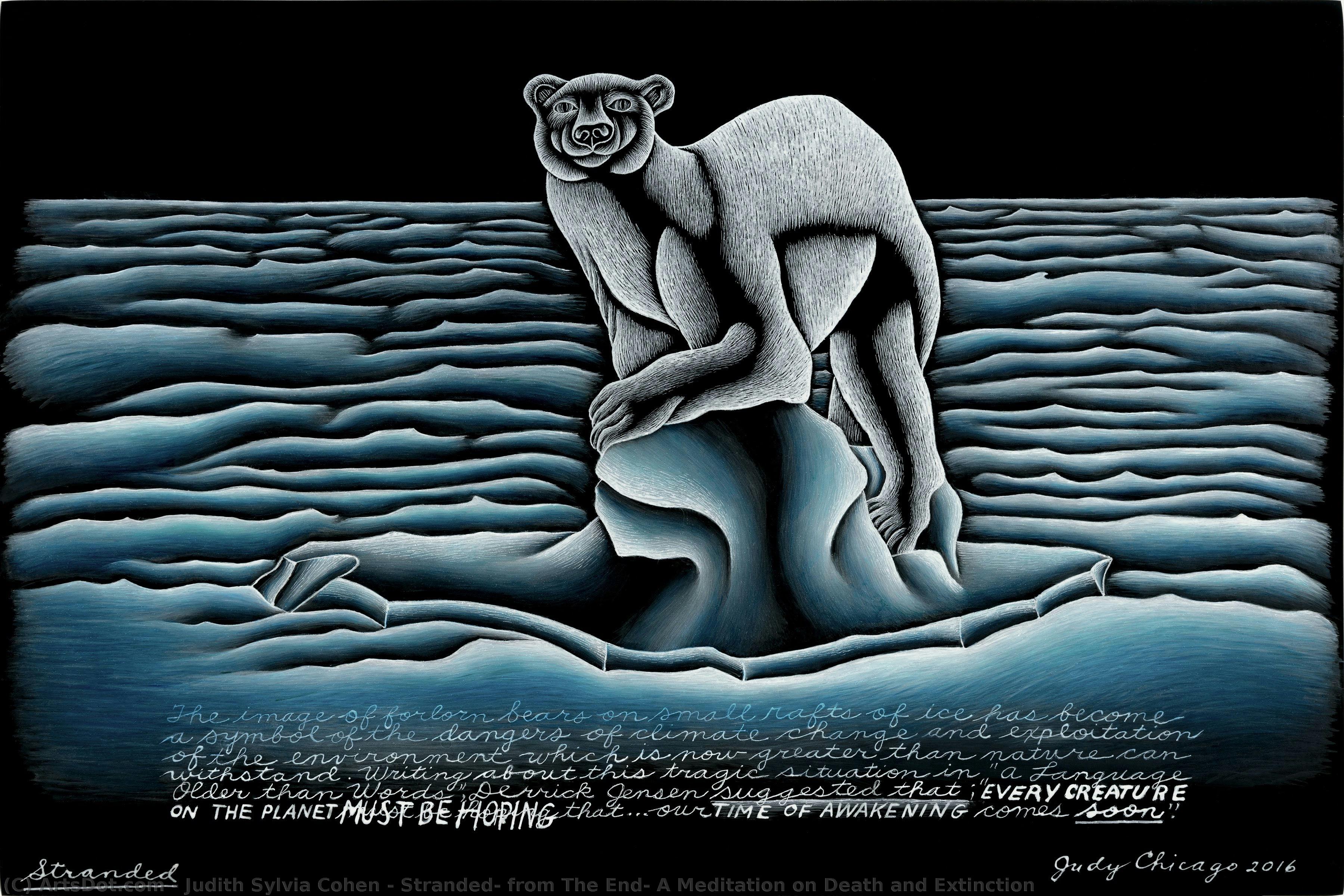 Stranded, From The End: A Meditation On Death And Extinction — Judith Sylvia Cohen
