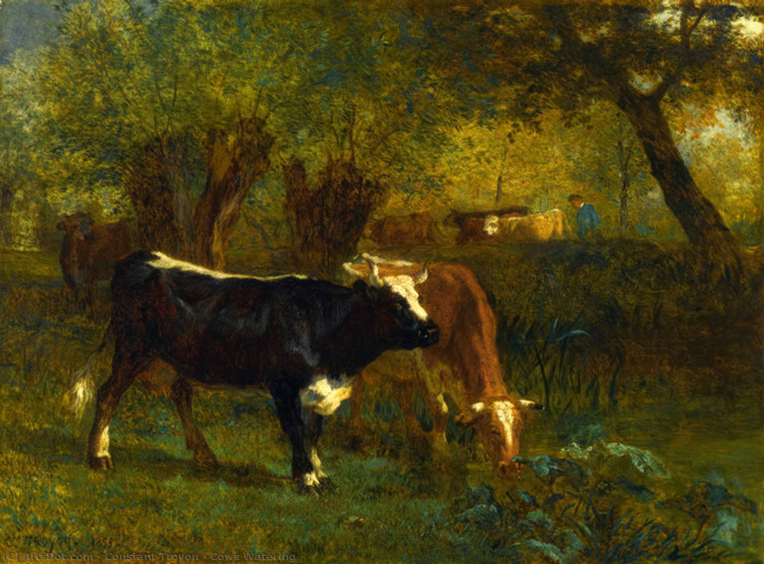 Cows Watering — コンスタン・トロワヨン
