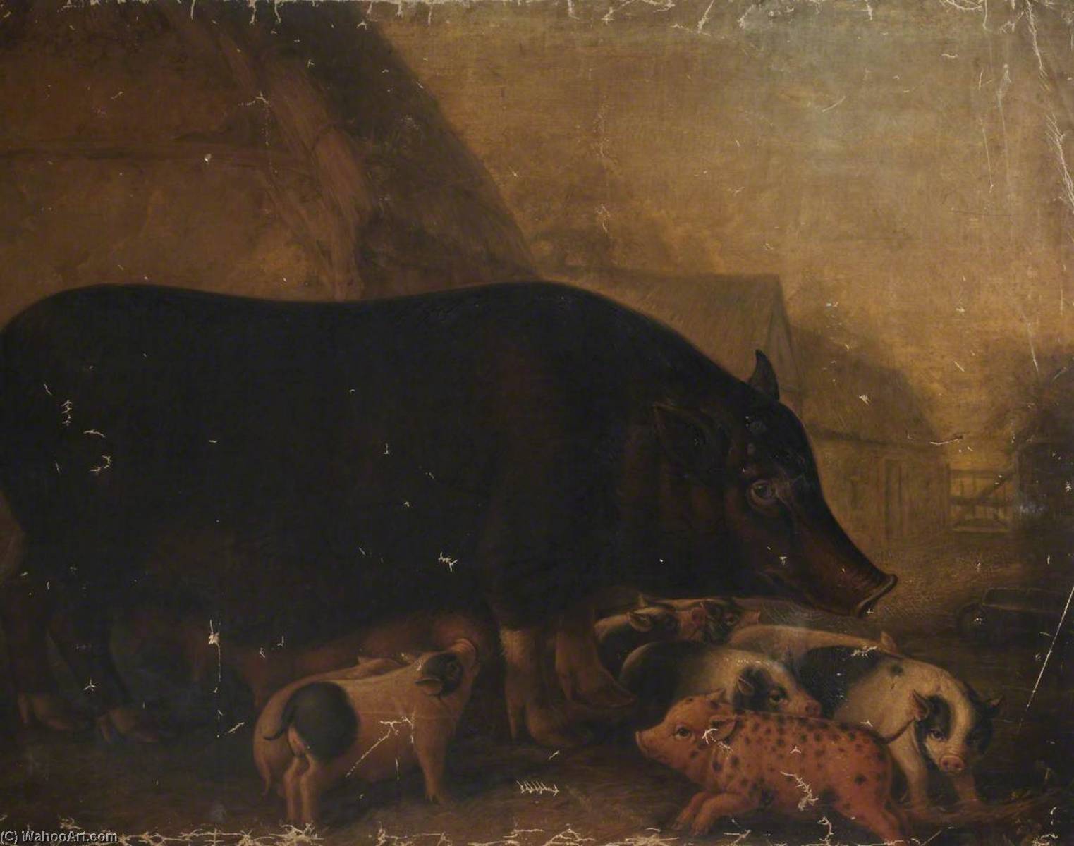 Siamese Sow And Piglets — Уильям Шилс