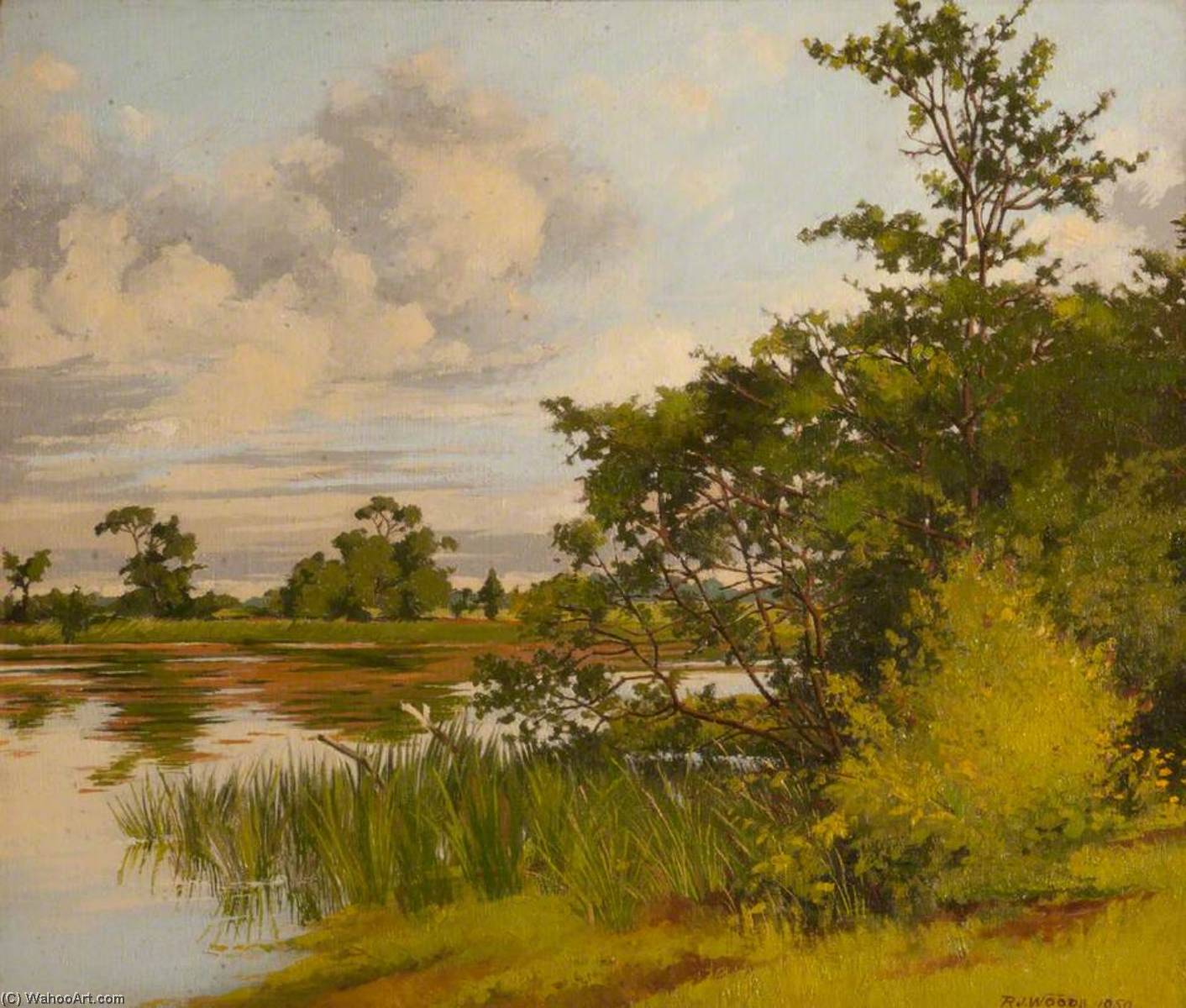 The Lake, Rathgael — Robert John Woods