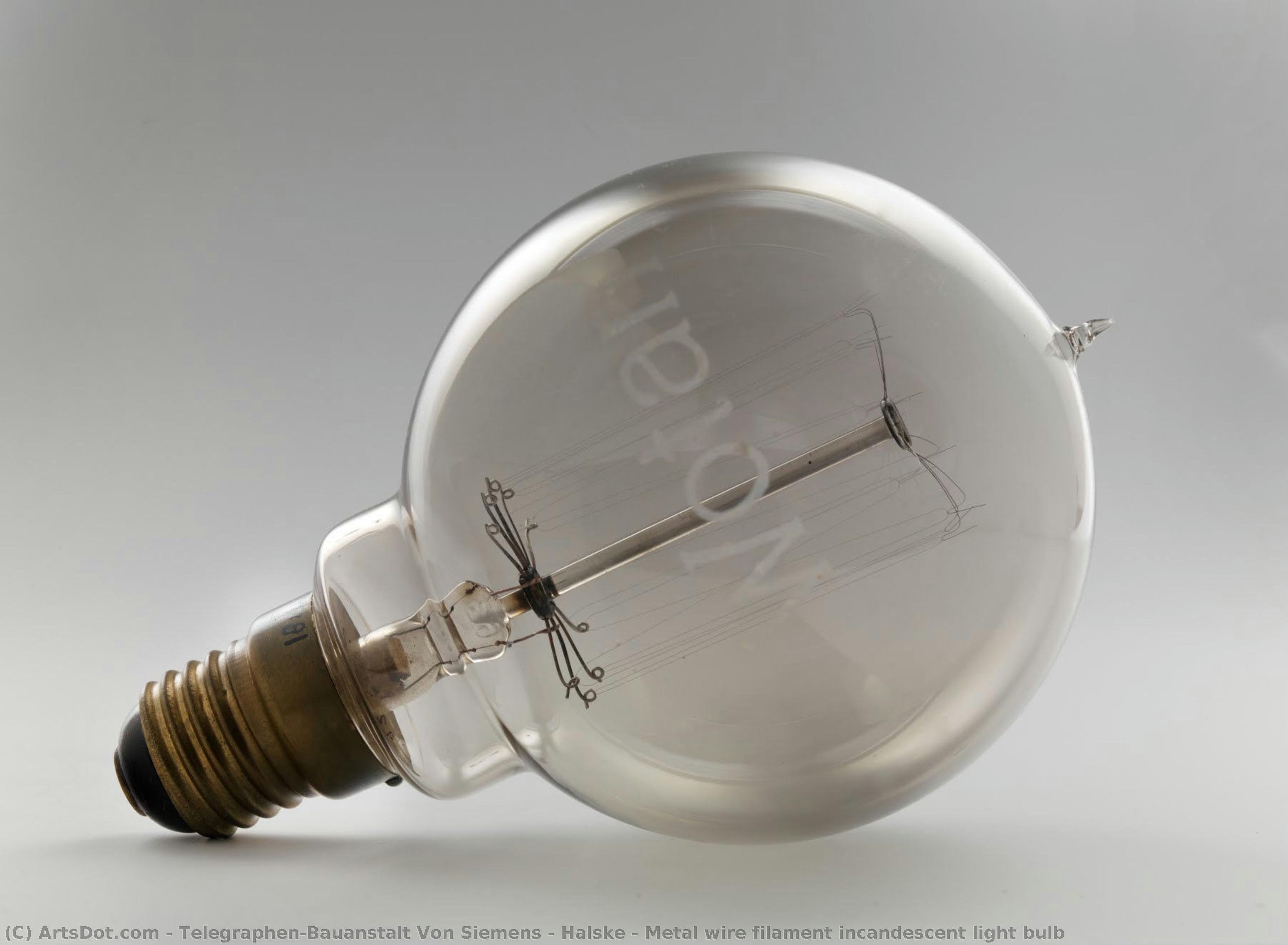 Metal Wire Filament Incandescent Light Bulb — Siemens & Halske