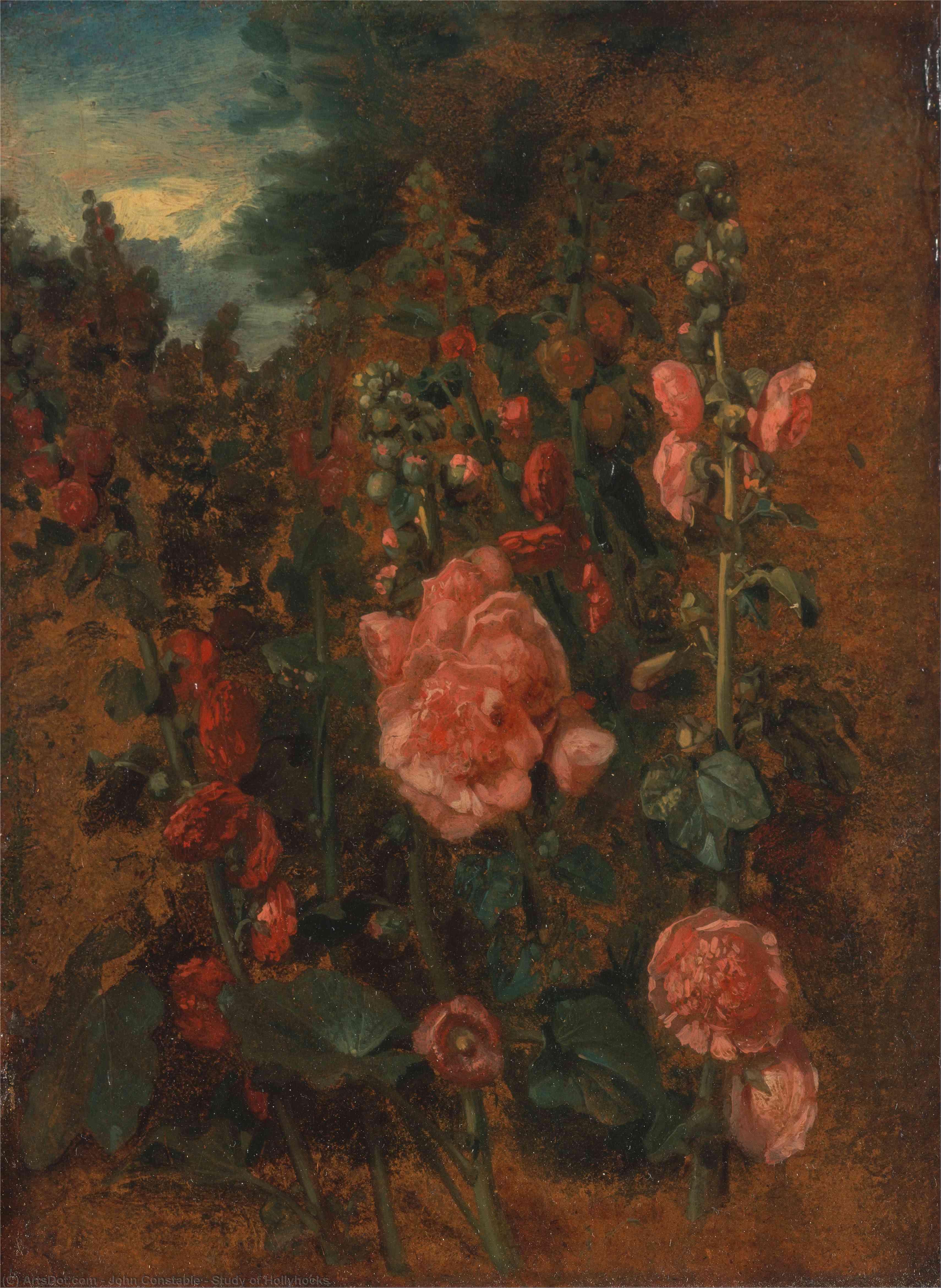 Estudio De Margaritas — John Constable
