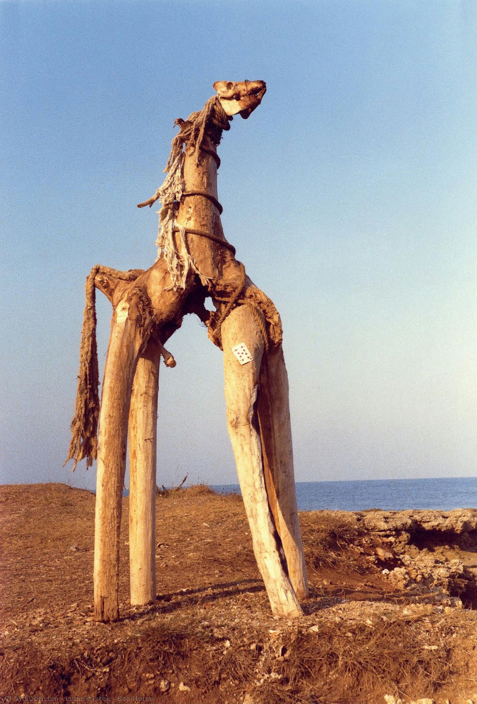 Sea Horse — Lubo Kristek
