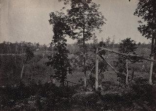 The Battle Ground Of Resaca, No.2 From The Album Photographic Views Of Sherman's Campaign — George Grey Barnard