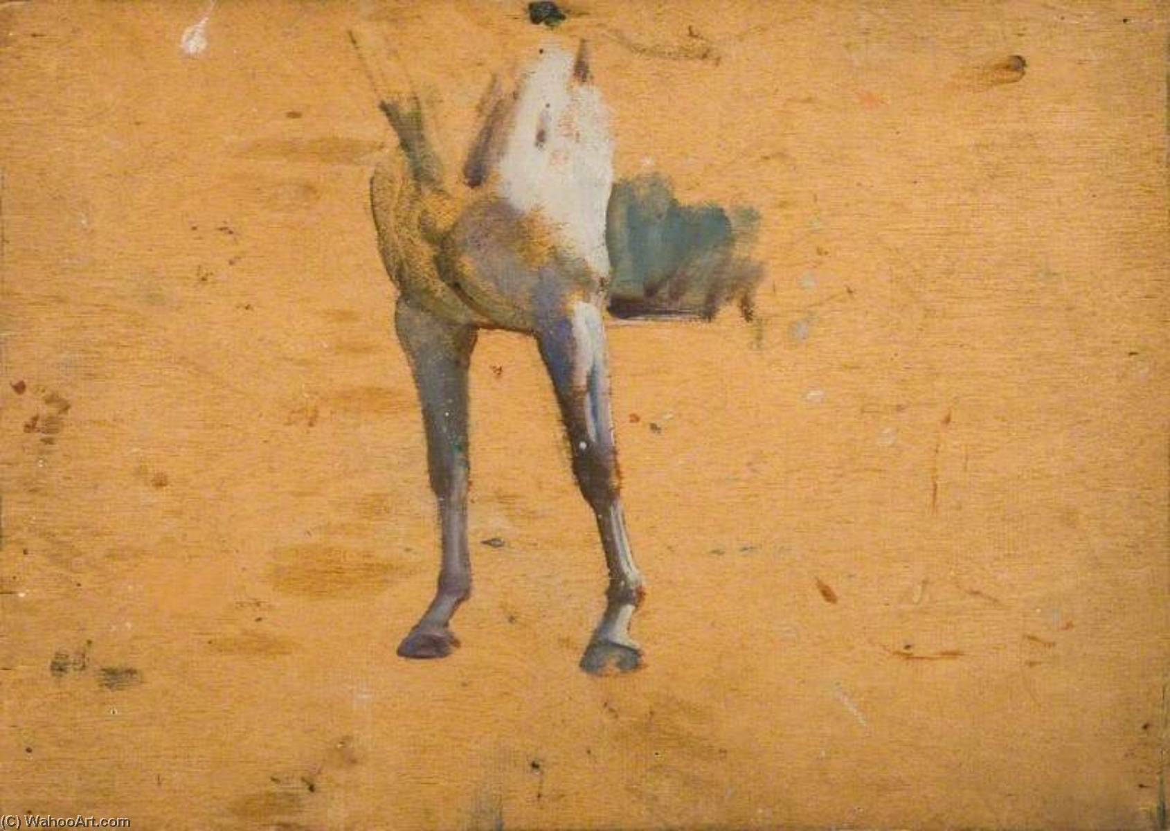 Study Of Front Legs Of A Horse — Алфред Џејмс Менингс