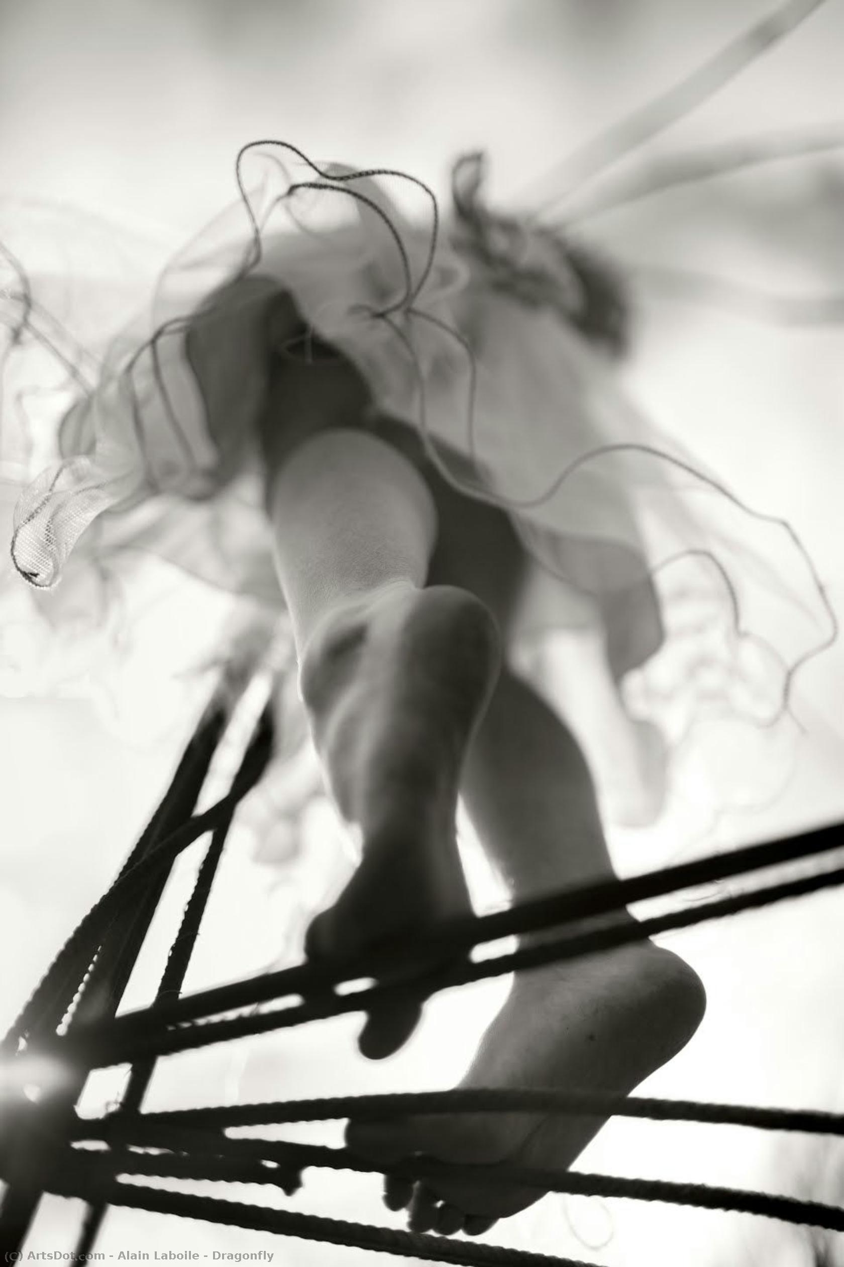 Dragonfly — Alain Laboile
