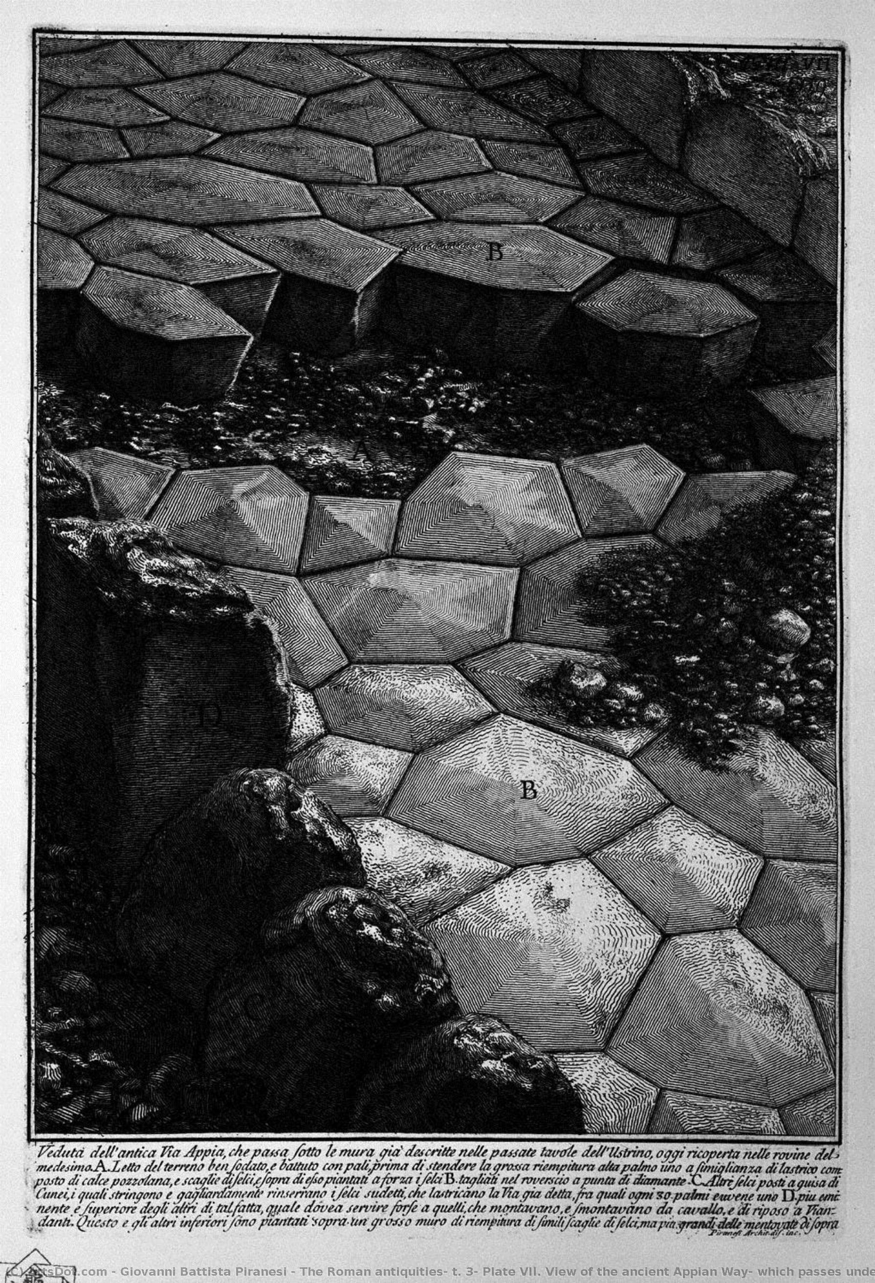The Roman Antiquities, T. 3, Plate Vii. View Of The Ancient Appian Way, Which Passes Under The Walls Of `ustrine. — Giovanni Battista Piranesi