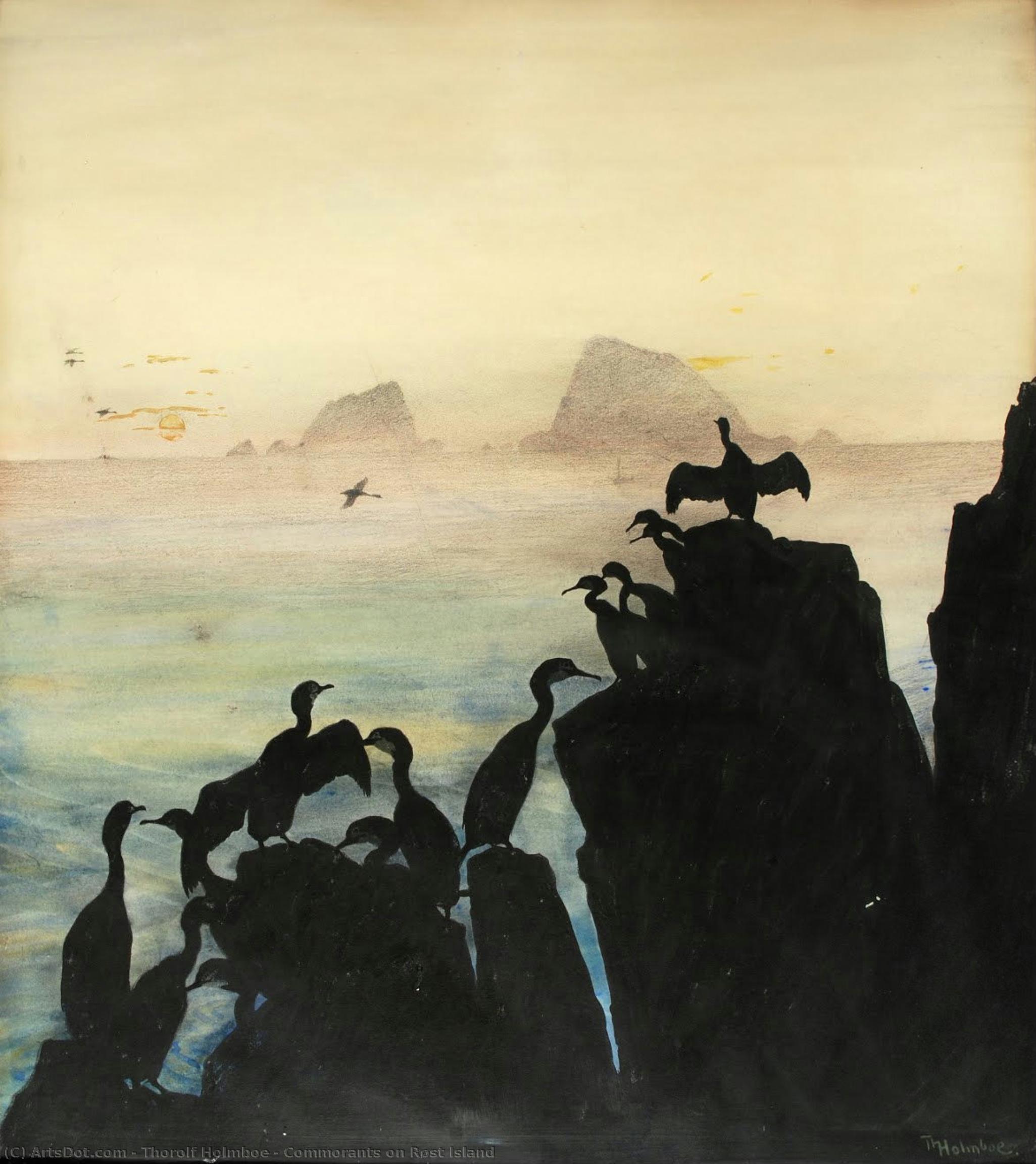 Commorants On Røst Island — Thorolf Holmboe