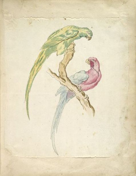 Two Parrots Perched On A Branch — Jean-baptiste Oudry