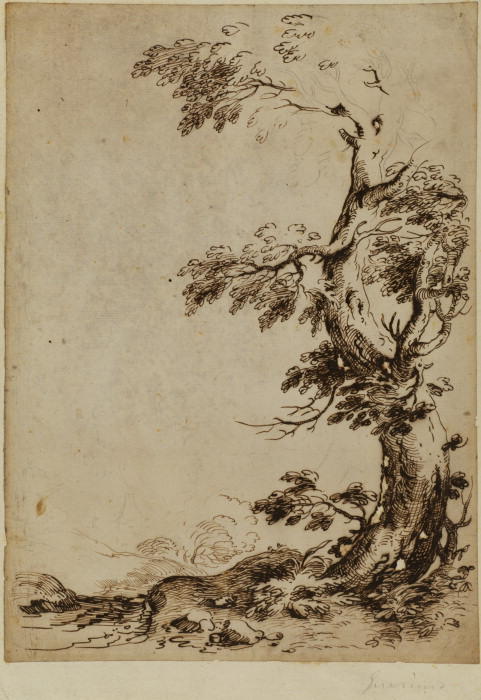 Landscape With Tree In The Foreground — Guercino