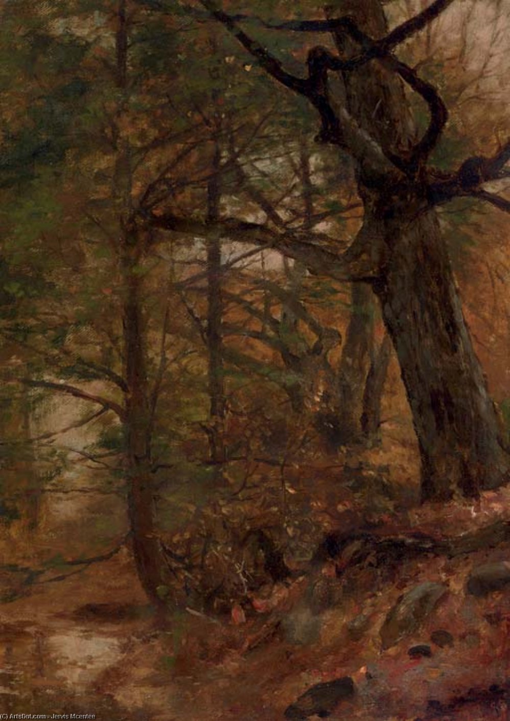 A Grove Of Trees, Ashokan, New York — Džervis Mekenti