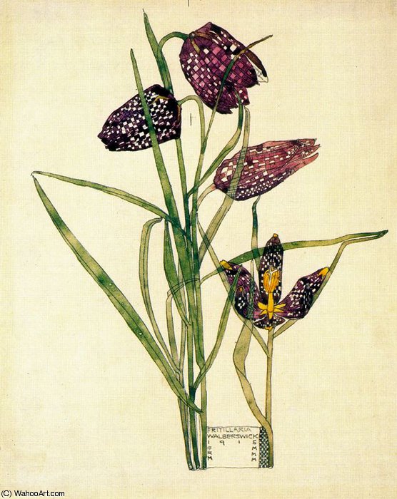 Untitled (913) — Charles Rennie Mackintosh