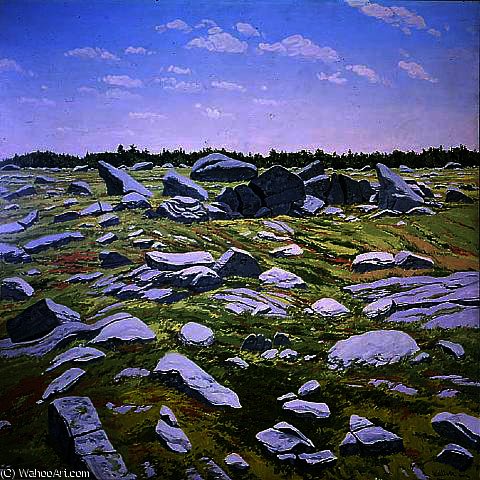 Midday Barren — Neil Gavin Welliver