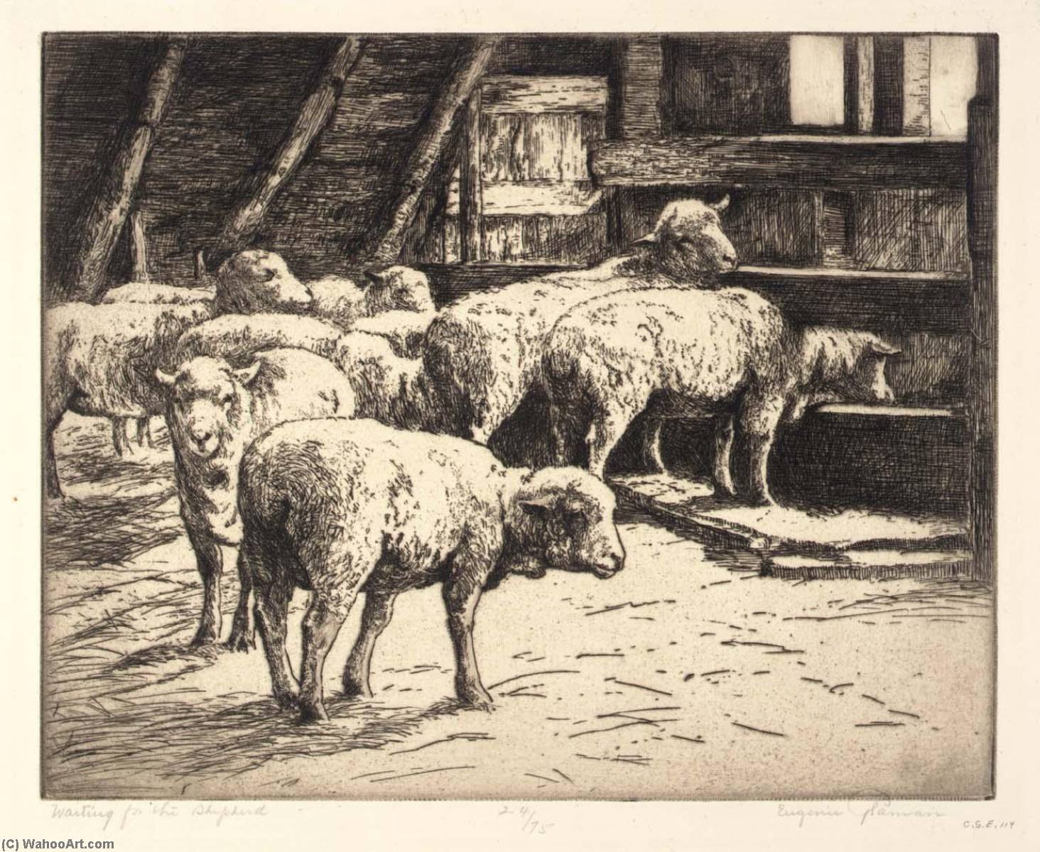 Waiting For The Shepherd — Eugenie Fish Glaman