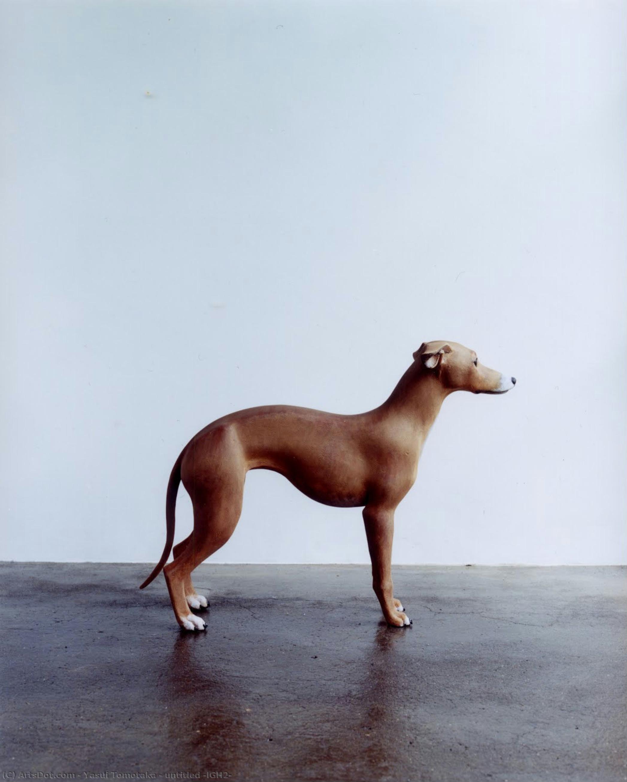 Untitled (igh2) — Yasui Tomotaka