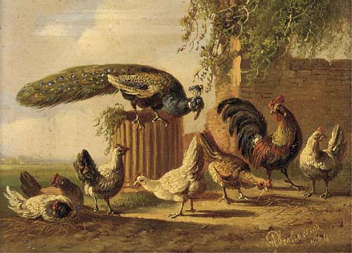 A Peacock And Poultry In A Farmyard; And Another Similar — Albertus Verhoesen