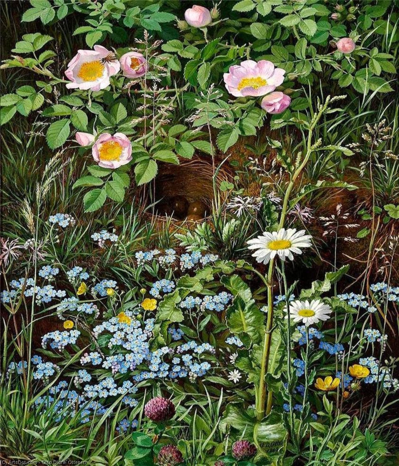 Dog Roses, Forget-me-nots, Daisies, Buttercups And Clover — オット・ディドリク・オッテセン