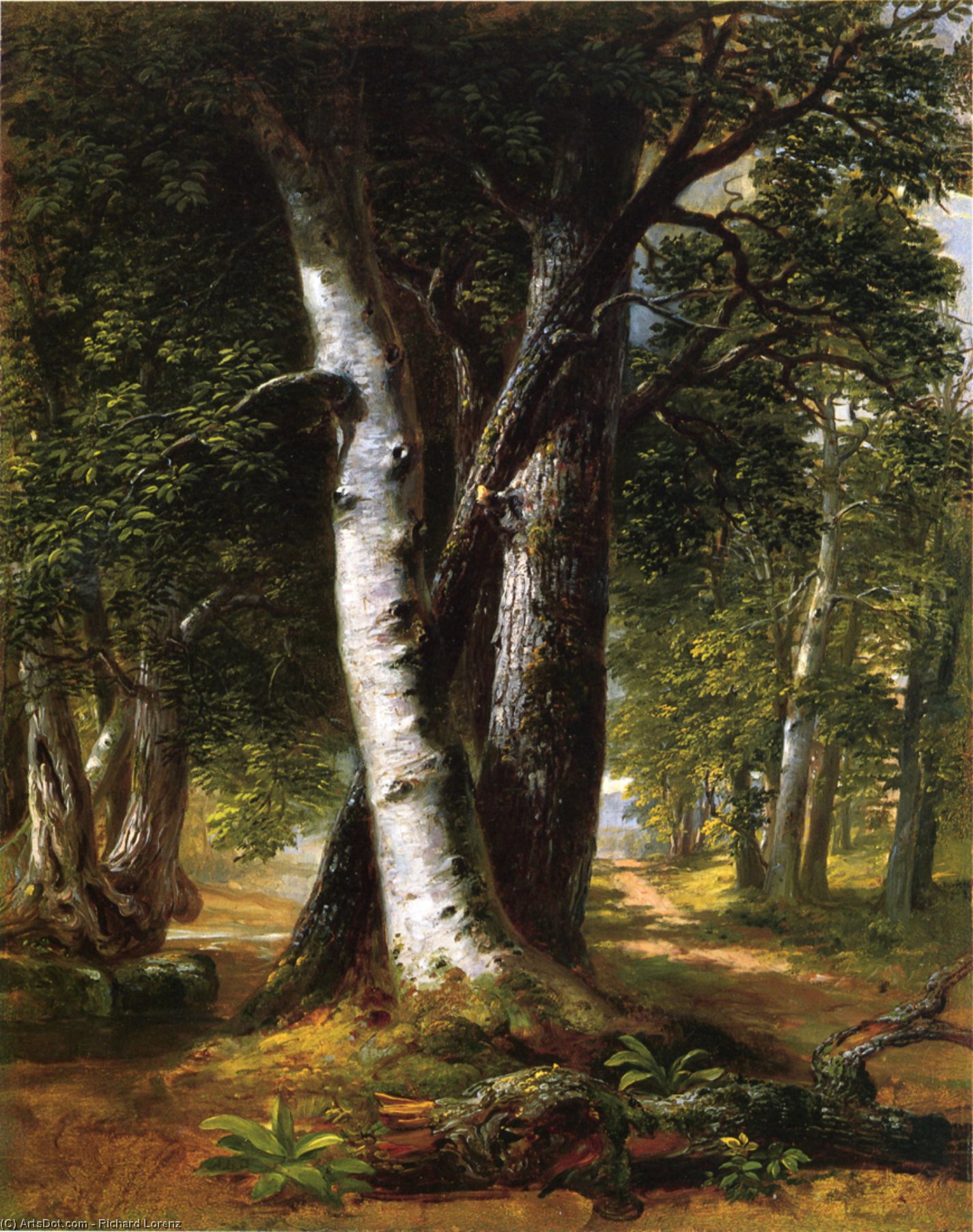 Woodland Path — Richard Lorenz