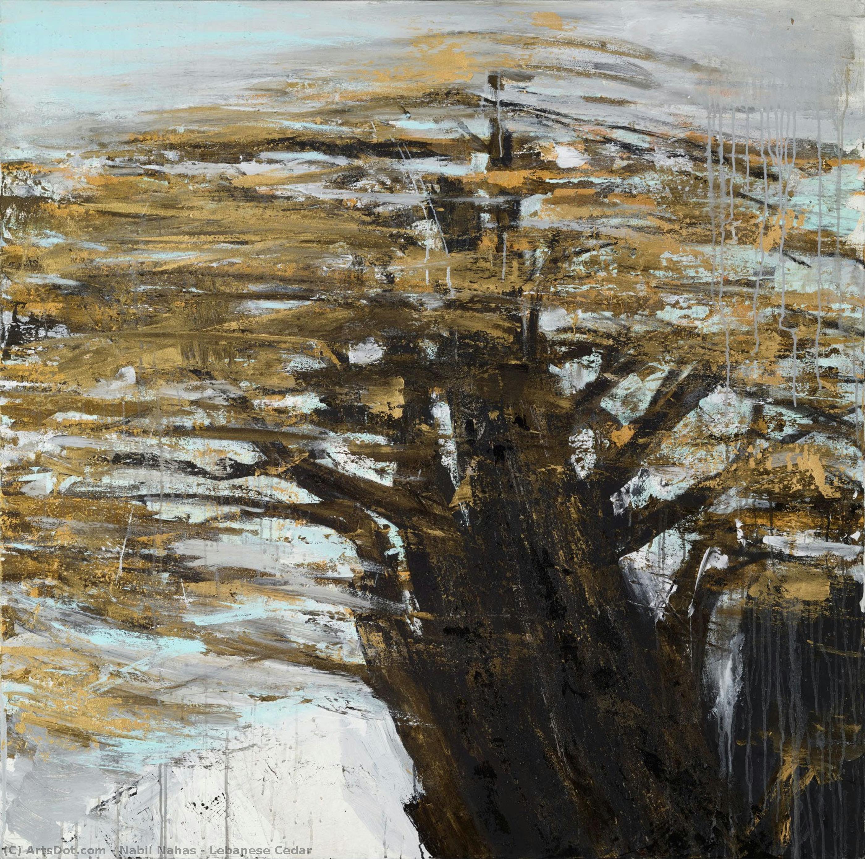 Lebanese Cedar — Nabil Nahas