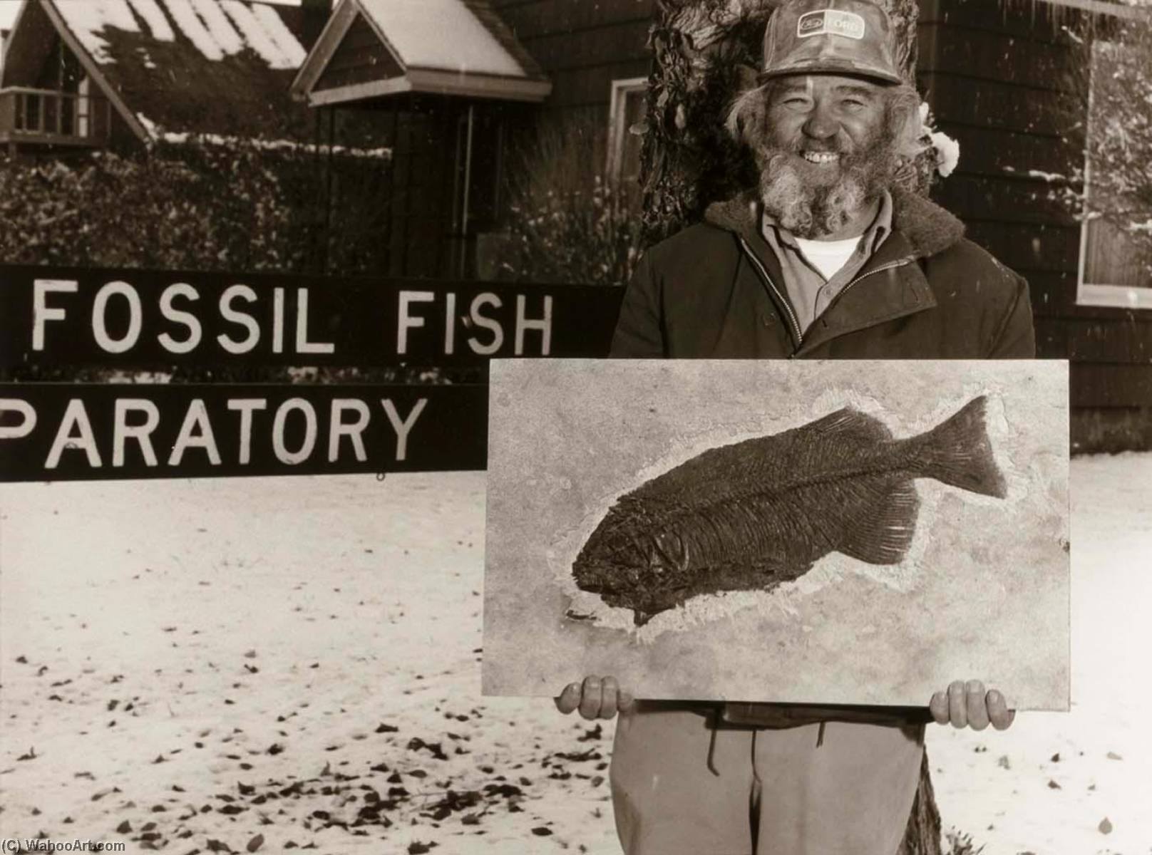 Kemmerer Fossil Fish Artist, From The Wyoming Documentary Survey Project — Penny Diane Wolin