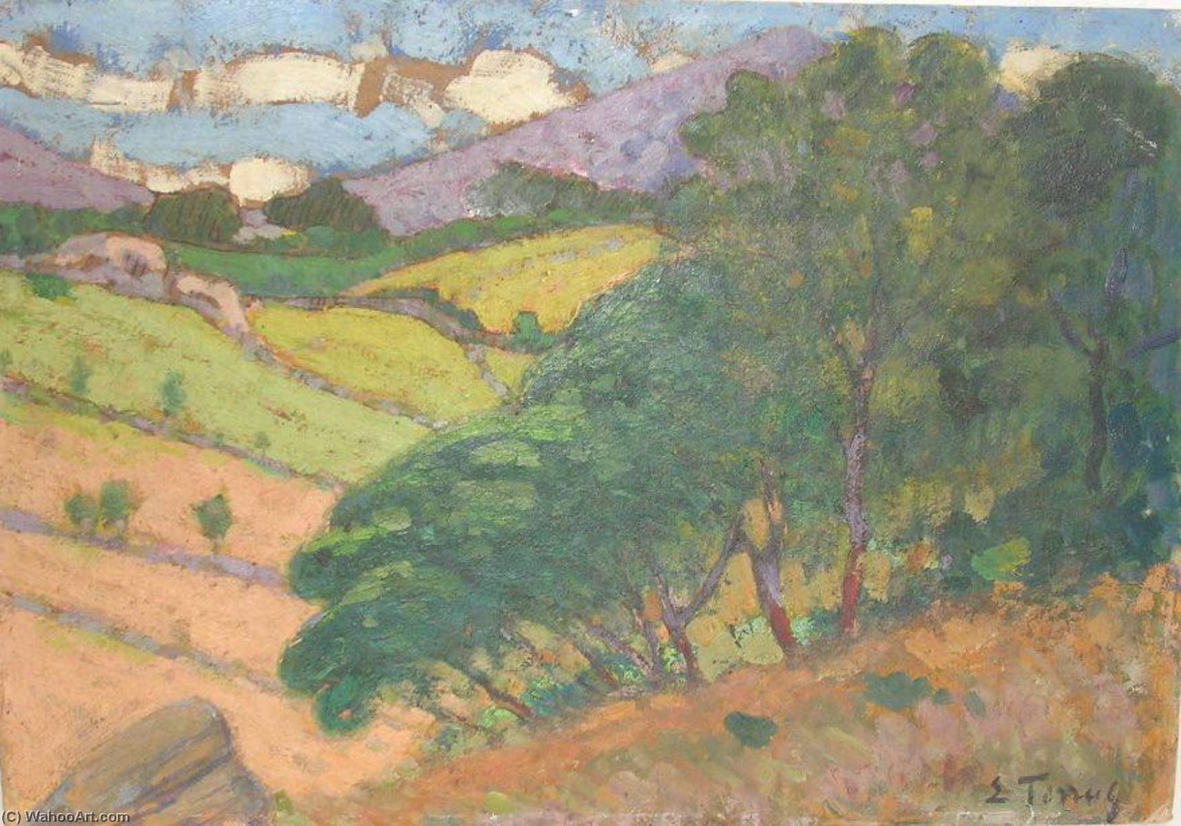 Environs De Collioure — Étienne Terrus