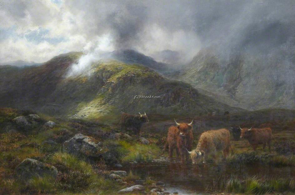 Highland Cattle — ルイ・ボズワース・ハート