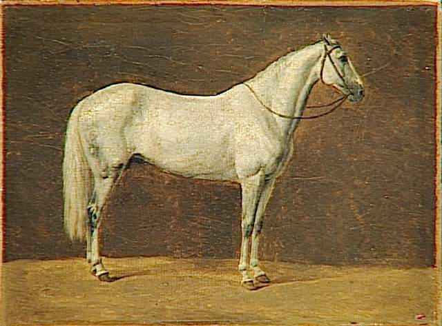 Cheval De Napoléon Ier Le Sahara — Martinet Pierre