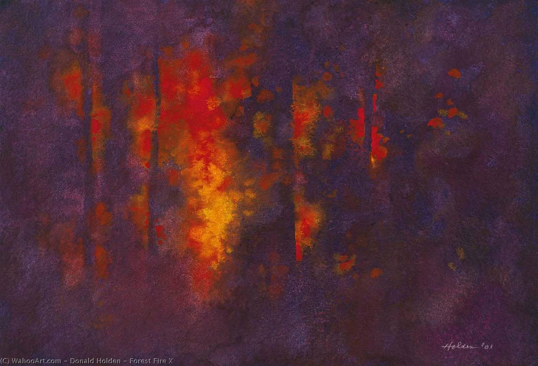 Forest Fire X — Donald Holden