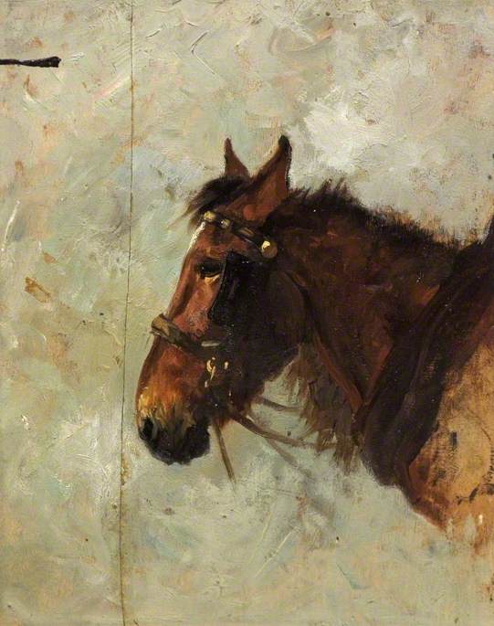 Sketch Of Horse's Head — Lucy Elizabeth Kemp Welch