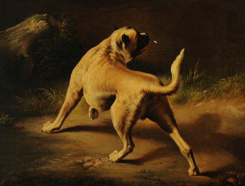 A Dog On Alert — Edvin Henri Lendsijer