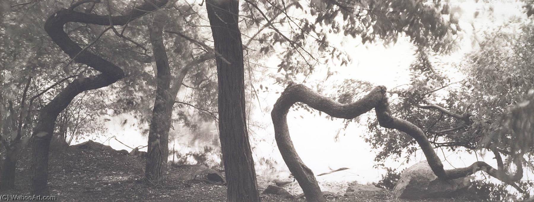 Central Park, New York City — Lois Conner