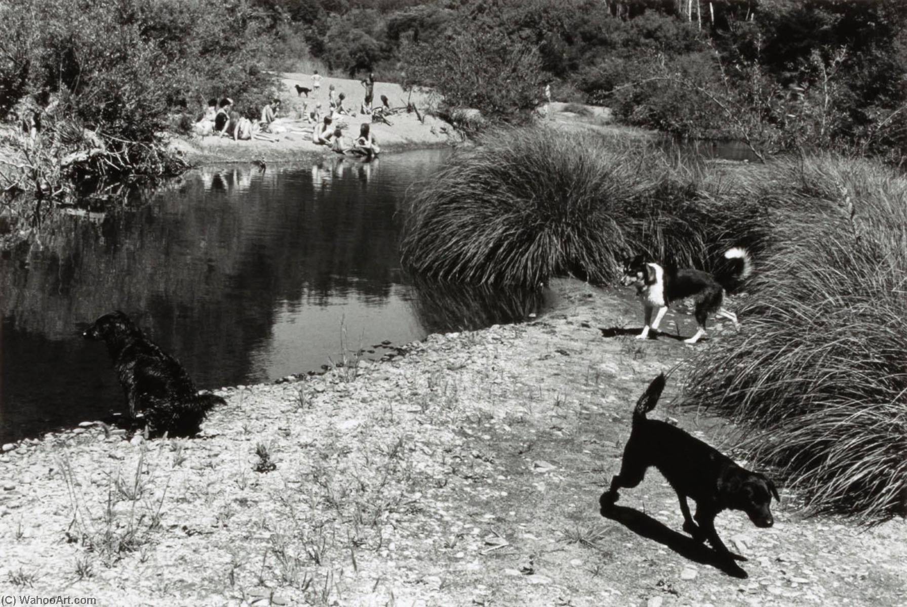 Navarro River (dogs By River) — Alvin Lieberman